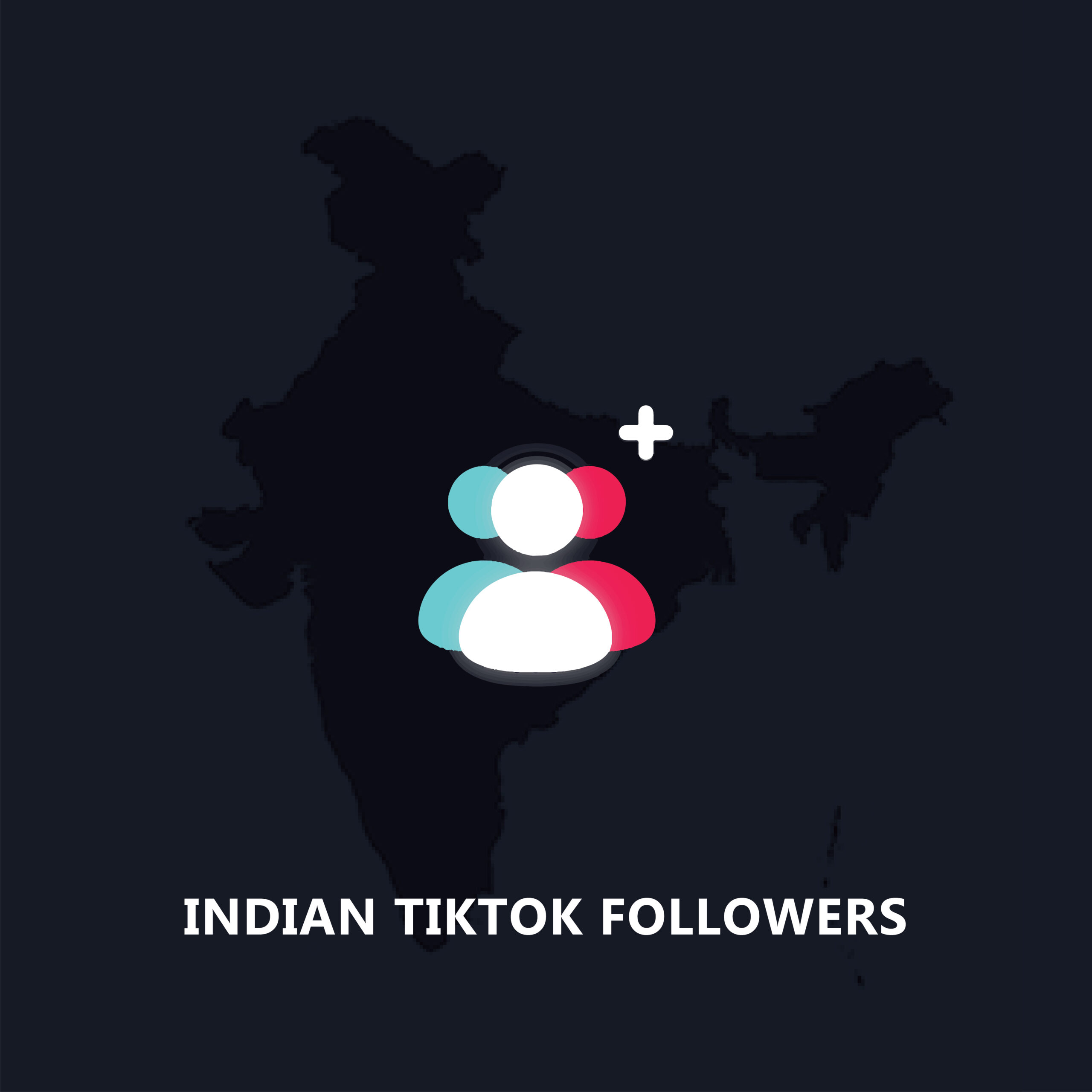 Indian TikTok Followers