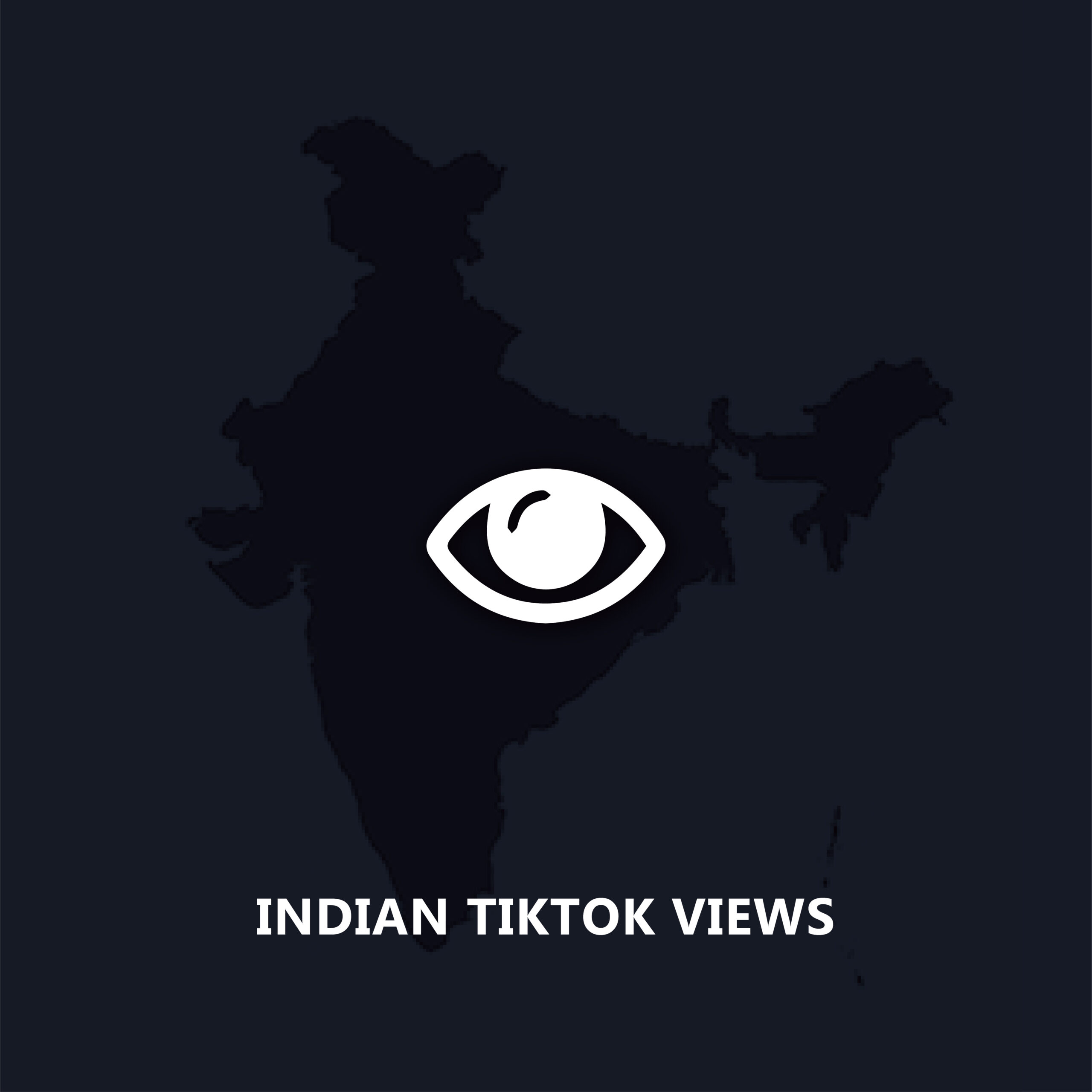 Indian TikTok Views